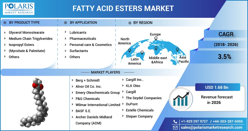Fatty Acid Esters Market